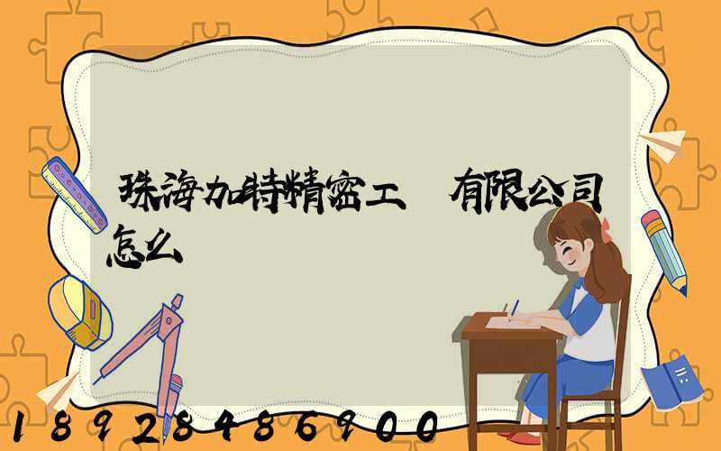 珠海加特精密工業有限公司怎么樣