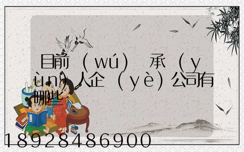 目前無(wú)車承運(yùn)人企業(yè)公司有哪些