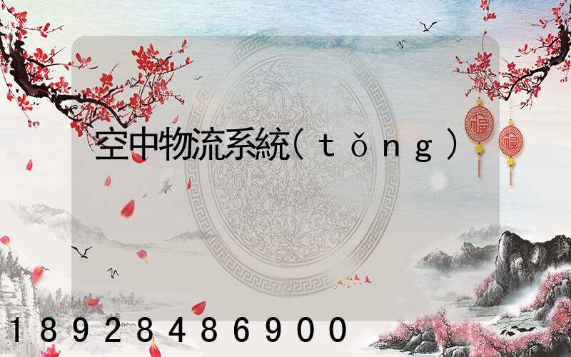 空中物流系統(tǒng)