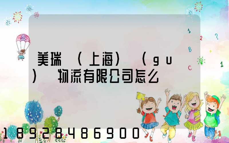 美瑞邇(上海)國(guó)際物流有限公司怎么樣