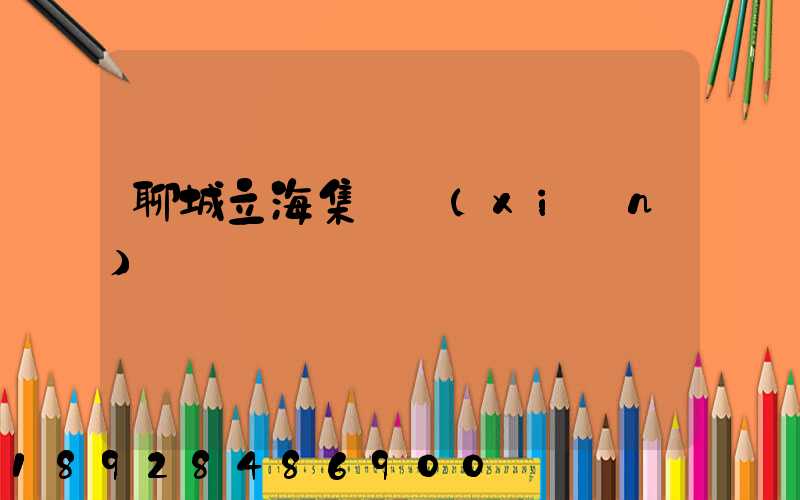 聊城立海集團現(xiàn)狀