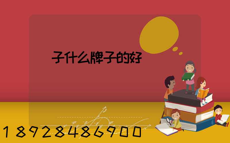 膩子什么牌子的好