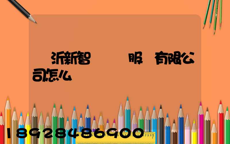 臨沂新智遠運輸服務有限公司怎么樣