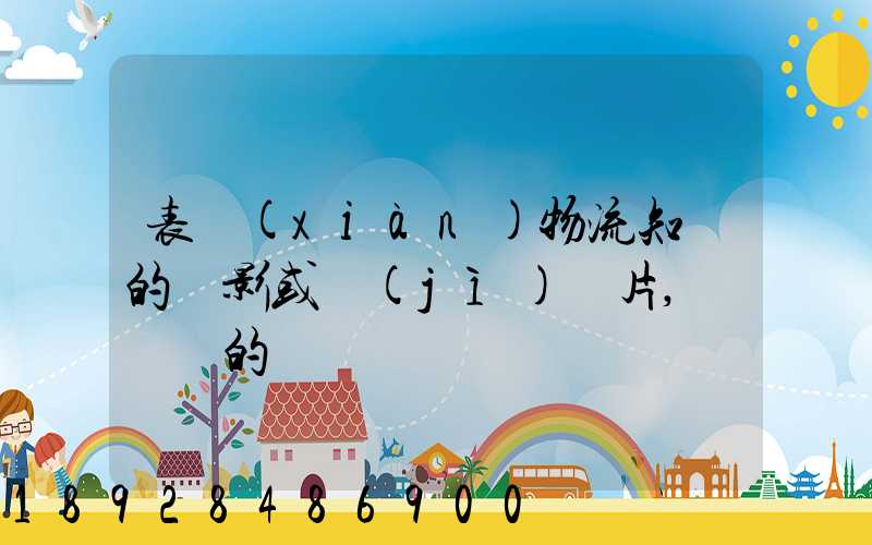 表現(xiàn)物流知識的電影或紀(jì)錄片,時間長的