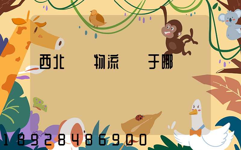 西北國際物流園屬于哪個區