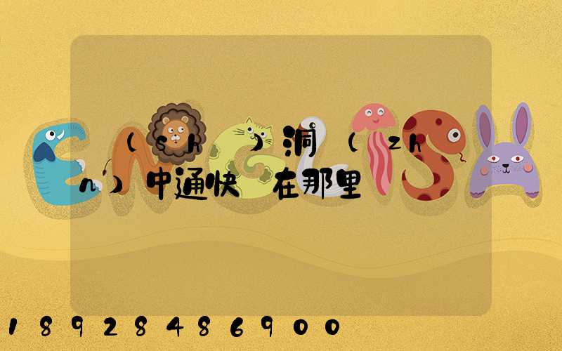 詩(shī)洞鎮(zhèn)中通快遞在那里