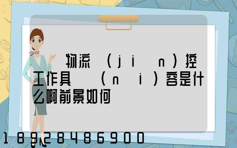 請問物流監(jiān)控工作具體內(nèi)容是什么啊前景如何