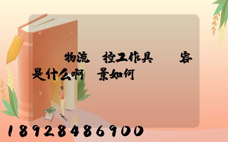 請問物流監控工作具體內容是什么啊前景如何
