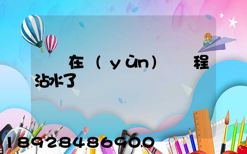 貓糧在運(yùn)輸過程沾水了