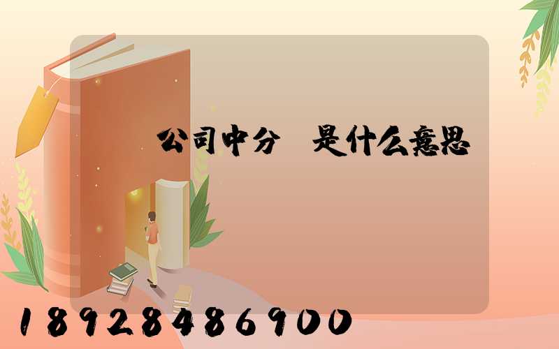 運輸公司中分撥是什么意思