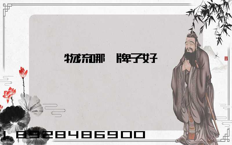 運輸物流哪個牌子好點