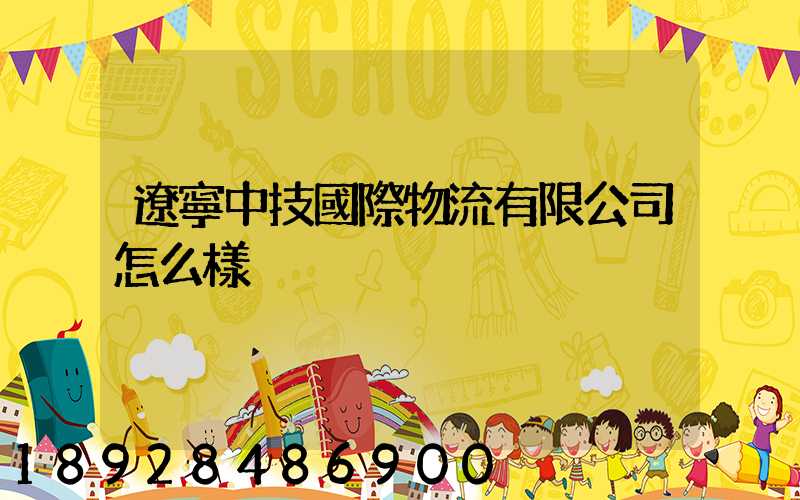 遼寧中技國際物流有限公司怎么樣