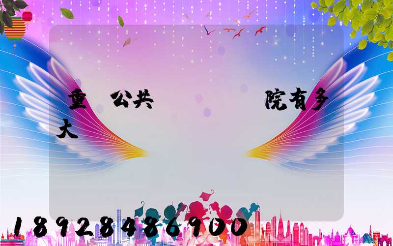 重慶公共運輸職業學院有多大