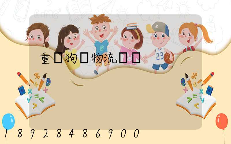 重慶狗糧物流運輸