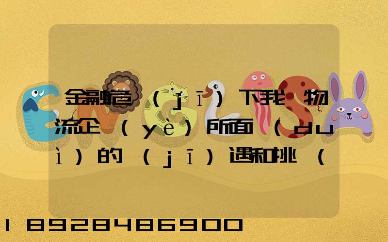 金融危機(jī)下我國物流企業(yè)所面對(duì)的機(jī)遇和挑戰(zhàn)