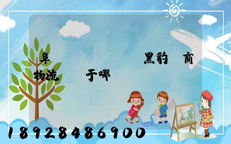 阜陽(yáng)黑豹電商物流園屬于哪個(gè)區(qū)