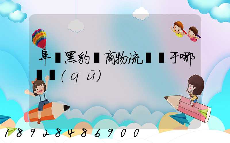 阜陽黑豹電商物流園屬于哪個區(qū)