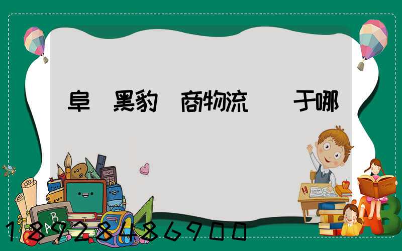 阜陽黑豹電商物流園屬于哪個區