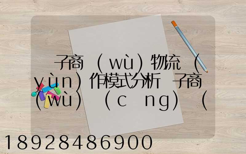 電子商務(wù)物流運(yùn)作模式分析電子商務(wù)倉(cāng)儲(chǔ)物流模式分析
