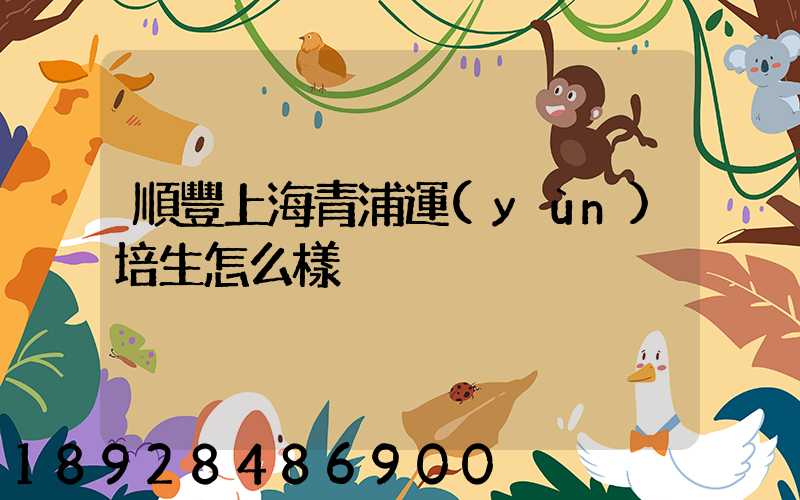 順豐上海青浦運(yùn)培生怎么樣